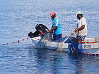 martiniquan fishermen