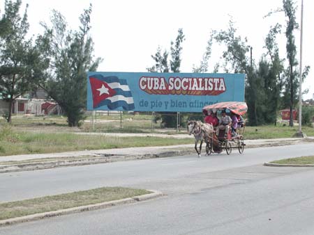cien41